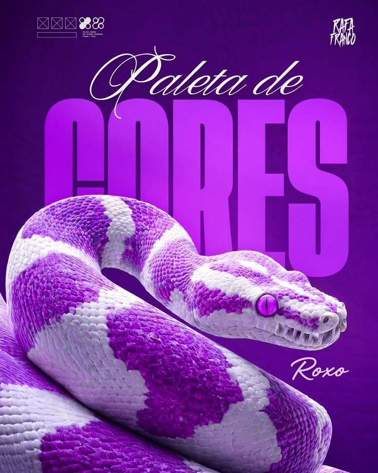 Snack Purple Packaging
